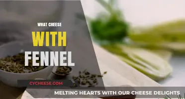 Perfect Cheese Pairings for Fennel: Elevate Your Culinary Creations