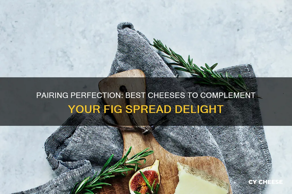 what cheese with fig spread