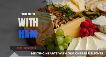 Perfect Pairings: Best Cheese Varieties to Complement Your Ham Delights