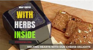 Herbed Cheese Delights: Exploring Flavorful Varieties with Fresh Herbs Inside