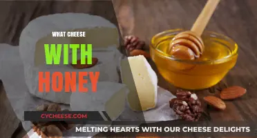 Sweet and Savory Pairings: Best Cheeses to Enjoy with Honey