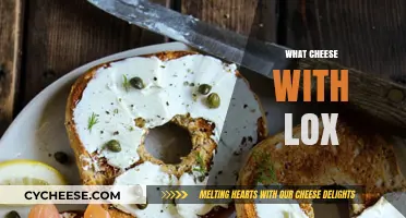 Perfect Pairings: Best Cheeses to Complement Lox on Your Bagel