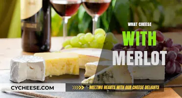 Perfect Pairings: Best Cheeses to Complement Your Merlot Wine Choice
