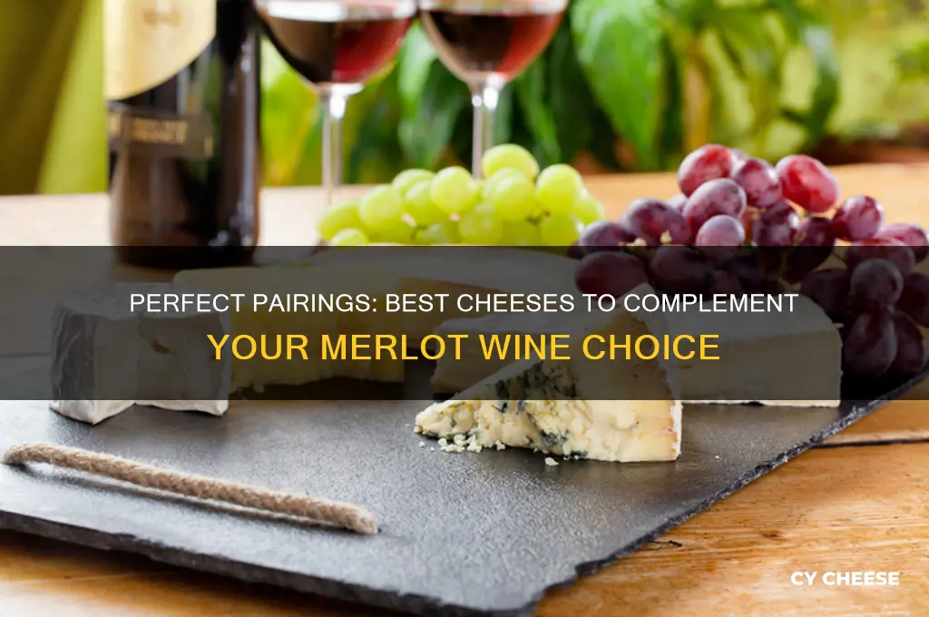 what cheese with merlot