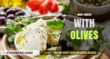 Perfect Pairings: What Cheese with Olives for Ultimate Flavor Harmony