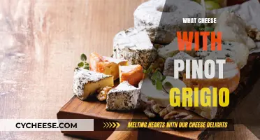 Perfect Pairings: Best Cheeses to Complement Your Pinot Grigio