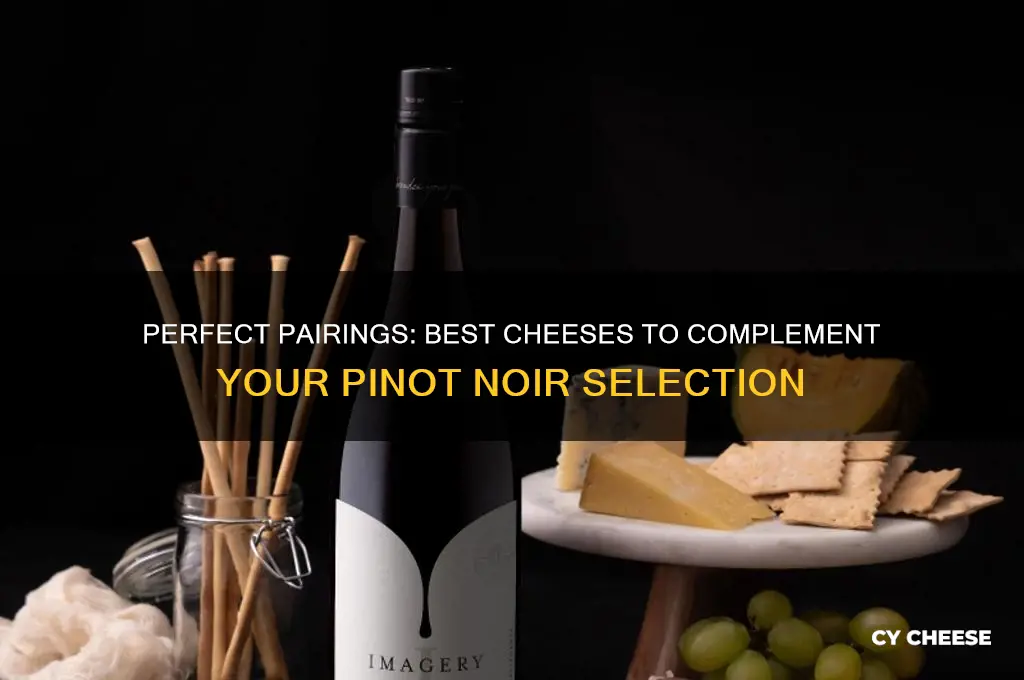 what cheese with pinot noir