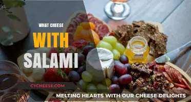 Perfect Cheese Pairings for Salami: Elevate Your Charcuterie Board