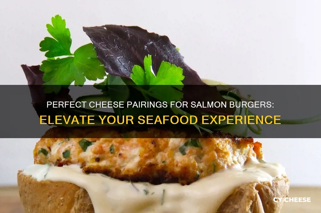 what cheese with salmon burgers