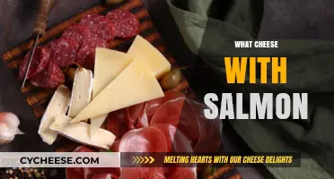 Perfect Cheese Pairings for Salmon: Elevate Your Culinary Experience