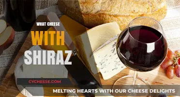 Perfect Pairings: Best Cheeses to Complement Your Shiraz Wine