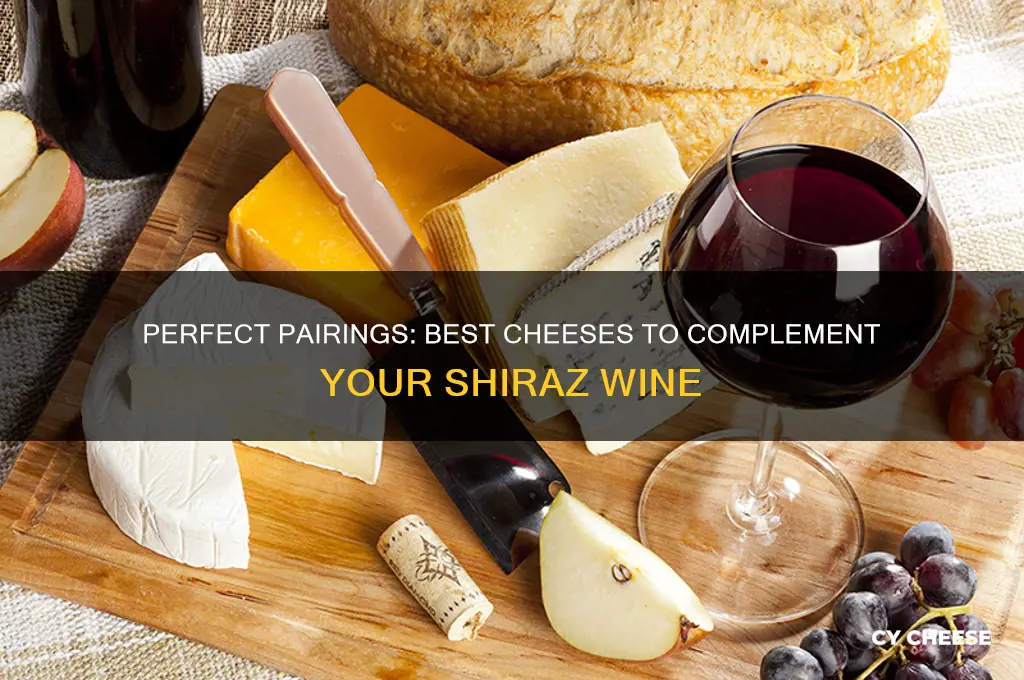 what cheese with shiraz