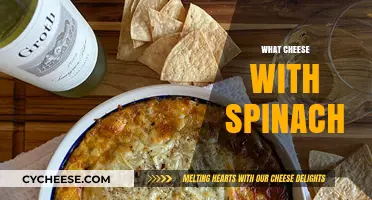 Spinach and Cheese Pairing Guide: Best Matches for Flavor Harmony