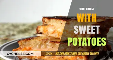 Perfect Cheese Pairings to Elevate Your Sweet Potato Dishes