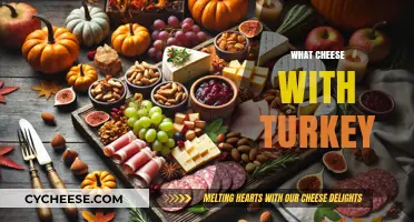 Perfect Cheese Pairings for Turkey: Elevate Your Sandwich or Platter