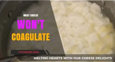 Cheese That Won't Coagulate: Understanding Non-Clotting Varieties and Why