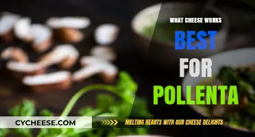 Polenta and Cheese: The Perfect Pairing