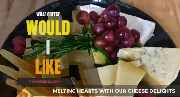 Cheese Preferences: Finding Your Favorite Flavor