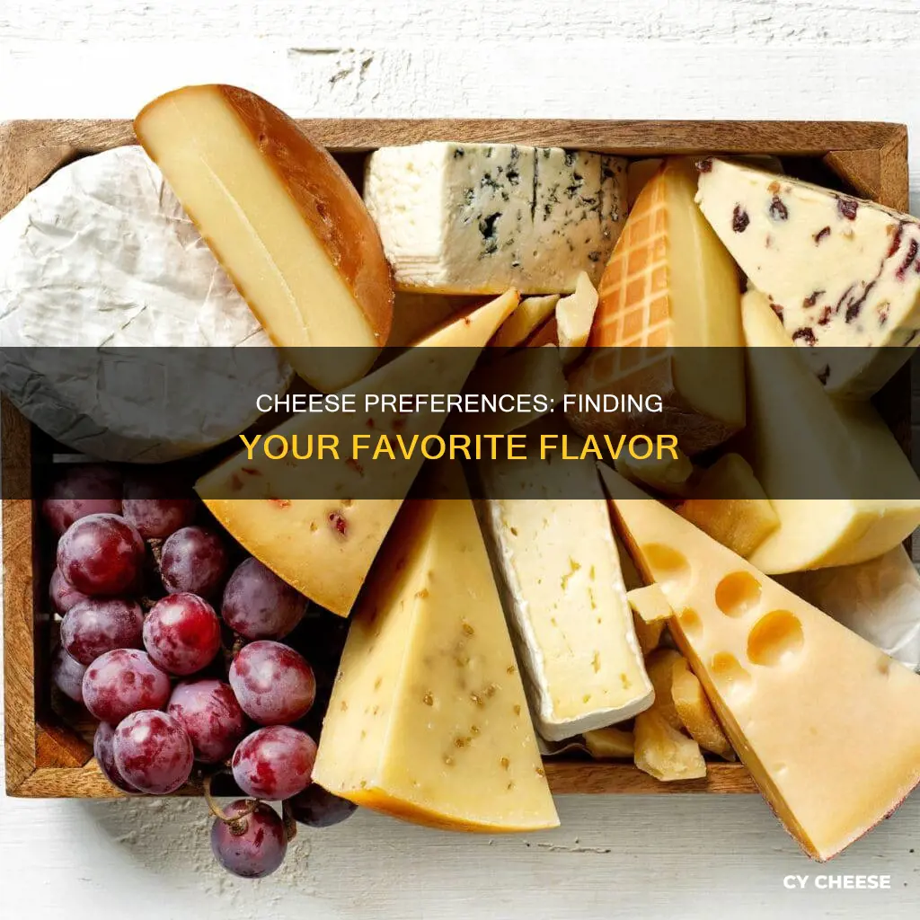 what cheese would i like