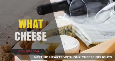 Exploring the World of Cheese: Types, Flavors, and Perfect Pairings