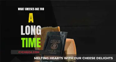 The Best Long-Aging Cheeses: A Comprehensive Guide