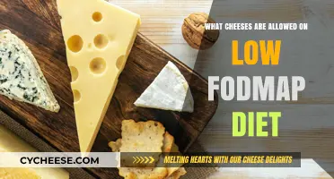 Low FODMAP Diet: Discover Cheese Options for Gut-Friendly Eating