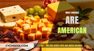 Exploring the Creamy Classics: What Cheeses Define American Cheese Culture?
