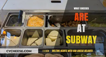 Discover Subway's Cheese Options: A Guide to Their Melty Toppings