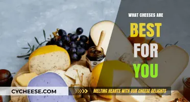 Cheeses to Choose: Healthy Options for Your Plate