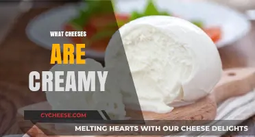 Discover the Dreamiest, Creamiest Cheeses for Your Next Indulgent Bite