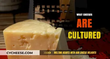 Cultured Cheese Varieties: Exploring Fermented Dairy Delights and Their Origins