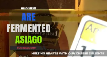 Exploring Fermented Asiago: A Guide to Its Unique Cheese Varieties