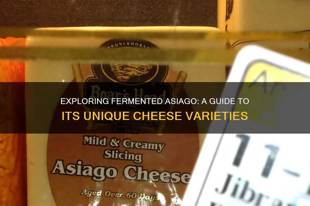 what cheeses are fermented asiago