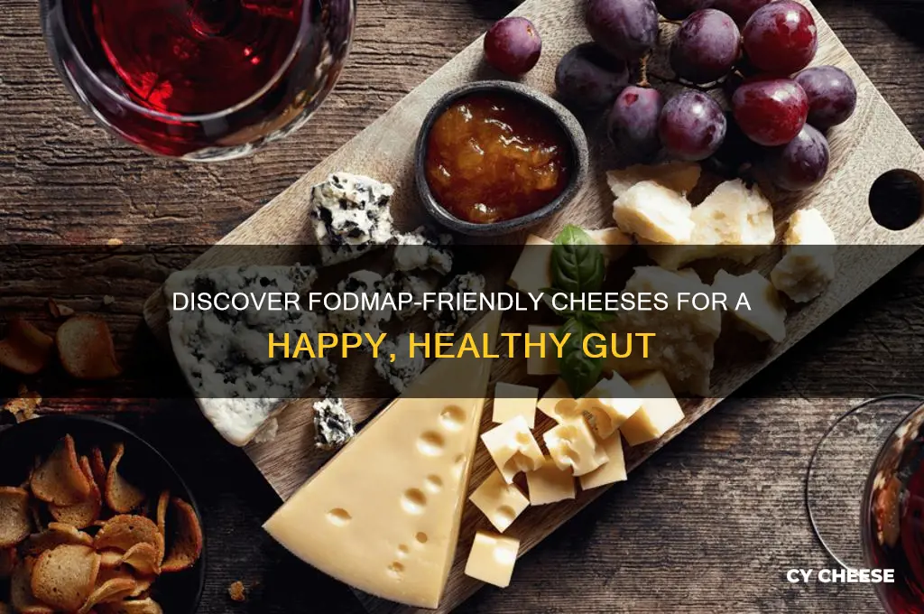 what cheeses are fodmap friendly