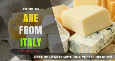 Discover Italy's Iconic Cheeses: A Guide to Authentic Italian Varieties