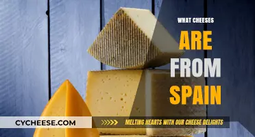 Discover Spain's Best Cheeses: A Guide to Authentic Spanish Varieties
