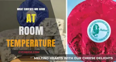 Best Cheeses to Enjoy at Room Temperature: A Flavorful Guide