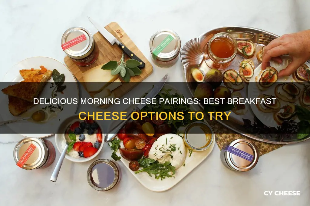 what cheeses are good for breakfast