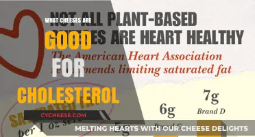 Heart-Healthy Cheese Choices: Best Options to Manage Cholesterol Levels