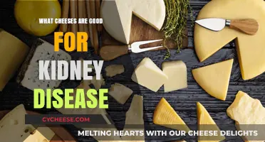 Kidney-Friendly Cheese Choices: Safe and Delicious Options for Renal Health