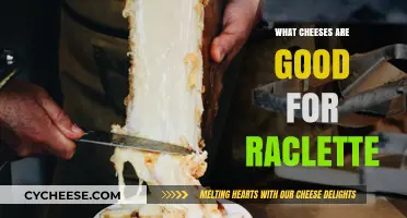 Best Cheeses for Perfect Raclette: Melty, Gooey, and Delicious Picks