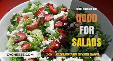 Top Cheesy Picks: Best Cheese Varieties to Elevate Your Salad Game