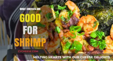 Best Cheesy Pairings: Top Cheeses to Elevate Your Shrimp Dishes