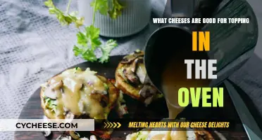 Best Oven-Baked Cheeses: Melty Toppings for Perfect Dishes
