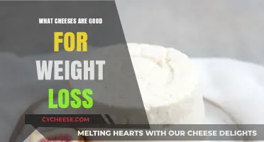 Cheese and Weight Loss: Top Picks for a Healthier Diet
