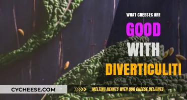 Diverticulitis-Friendly Cheeses: Safe and Delicious Options to Enjoy