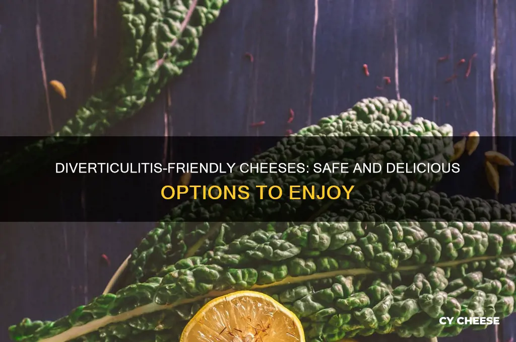 what cheeses are good with diverticulitis