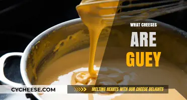 Exploring Gooey Cheeses: Which Varieties Melt Perfectly for Your Dishes?