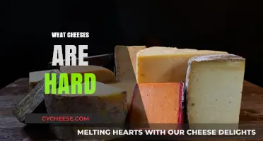 Exploring the World of Hard Cheeses: Varieties, Uses, and Flavors