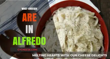 Discover the Cheesy Secrets: What Cheeses Are in Alfredo Sauce?